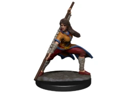 Wizkids - Dungeons And Dragons - Unpainted Miniature - Nolzurs Marvellous Miniatures - Human Monk Female - 90225 -CARDBOARD MEMORIES 12ef39b9f194353369960b6c3889eb40