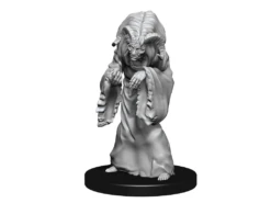 Wizkids - Dungeons And Dragons - Unpainted Miniature - Nolzurs Marvellous Miniatures - Night Hag And Dusk Hag - 90239
