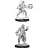 Wizkids - Dungeons And Dragons - Unpainted Miniature - Nolzurs Marvellous Miniatures - Human Male Fighter/Wizard - 90150