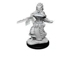 Wizkids - Dungeons And Dragons - Unpainted Miniature - Nolzurs Marvellous Miniatures - Night Hag And Dusk Hag - 90239 -CARDBOARD MEMORIES 43727050ad610e034eeeb110ddaa4306