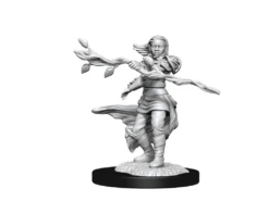 Wizkids - Dungeons And Dragons - Unpainted Miniature - Nolzurs Marvellous Miniatures - Human Druid Female - 90223