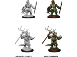 Wizkids - Dungeons And Dragons - Unpainted Miniature - Nolzurs Marvellous Miniatures - Lizard Folk And Shaman - 90074