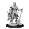 Wizkids - Dungeons And Dragons - Unpainted Miniature - Nolzurs Marvellous Miniatures - Tiefling Bard Female - 90226