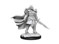 Wizkids - Dungeons And Dragons - Unpainted Miniature - Nolzurs Marvellous Miniatures - Dragonborn Fighter Female - 90302 -CARDBOARD MEMORIES a491a03c38335ca71376f7dc24860ef2