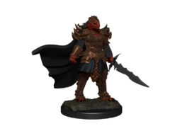 Wizkids - Dungeons And Dragons - Unpainted Miniature - Nolzurs Marvellous Miniatures - Dragonborn Fighter Female - 90302 -CARDBOARD MEMORIES a73ffee86029920f63c1d8a805e13d5f