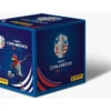 Panini - 2024 - Soccer - COPA America - Sticker Box