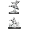 Wizkids - Dungeons And Dragons - Nolzurs Marvellous Miniatures - Female Human Monk - 90008