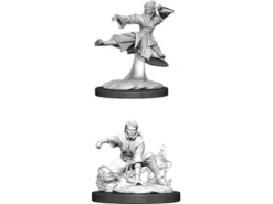 Wizkids - Dungeons And Dragons - Nolzurs Marvellous Miniatures - Female Human Monk - 90008