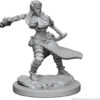 Wizkids - Dungeons And Dragons - Unpainted Miniature - Nolzurs Marvellous Miniatures - Human Female Monk - 72634