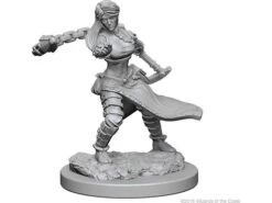 Wizkids - Dungeons And Dragons - Unpainted Miniature - Nolzurs Marvellous Miniatures - Human Female Monk - 72634