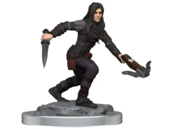 Wizkids - Dungeons And Dragons - Unpainted Miniature - Nolzurs Marvellous Miniatures - Half-Elf Rogue Female - 90485 -CARDBOARD MEMORIES raw 43 6d76aabc ba67 40ac 8f1c b493fa286687