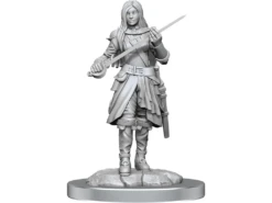 Wizkids - Dungeons And Dragons - Unpainted Miniature - Nolzurs Marvellous Miniatures - Half-Elf Rogue Female - 90485 -CARDBOARD MEMORIES raw 44 ae925ff4 d1b3 4061 b243 aae2fa54aa93