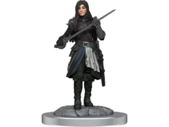 Wizkids - Dungeons And Dragons - Unpainted Miniature - Nolzurs Marvellous Miniatures - Half-Elf Rogue Female - 90485 -CARDBOARD MEMORIES raw 45 364d039d 2f89 452b ae1c 0294591d7b71