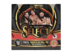 Panini - WWE - 2024 - Select - International Hobby Box