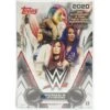 Panini - 2024 - WWE Wrestling - Prizm - Hobby Box