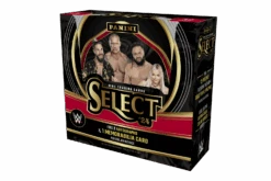 Panini - WWE - 2024 - Select - Hobby Box